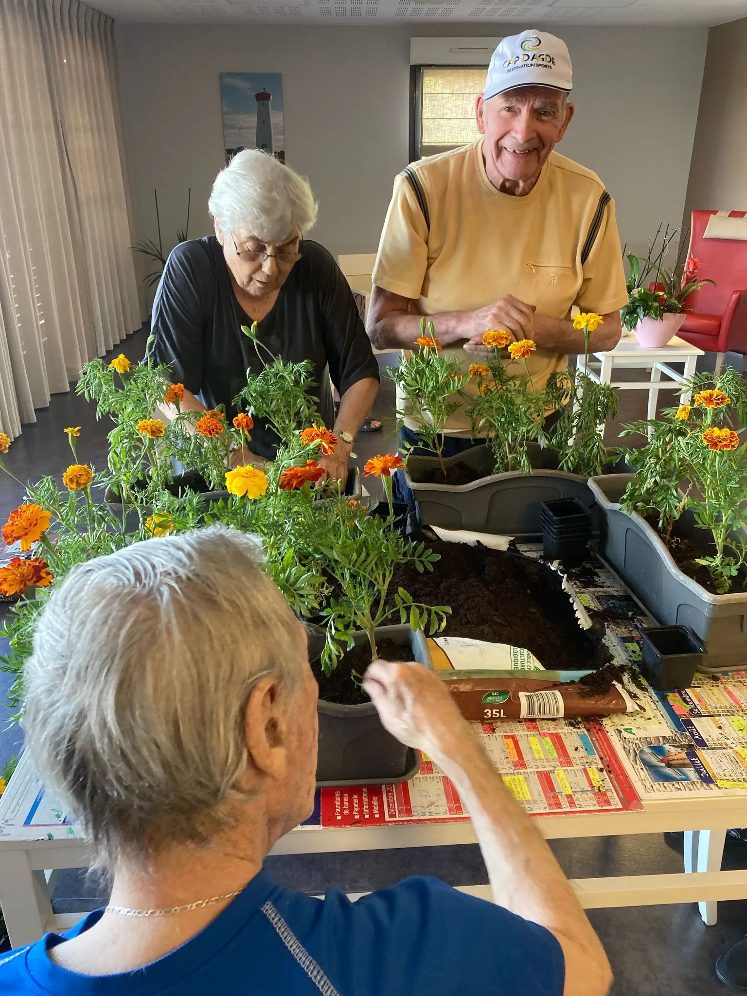 Jardinage : une activité manuelle bénéfique pour les personnes âgées